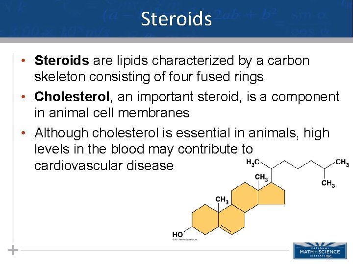 Steroids • Steroids are lipids characterized by a carbon skeleton consisting of four fused