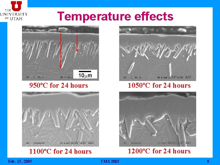 Temperature effects 10 mm 950ºC for 24 hours 1050ºC for 24 hours 1100ºC for