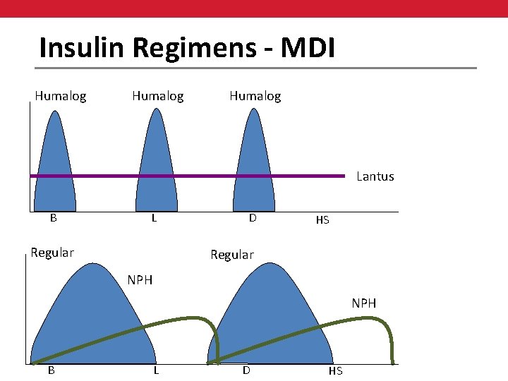 Insulin Regimens - MDI Humalog Lantus B L Regular D HS Regular NPH B