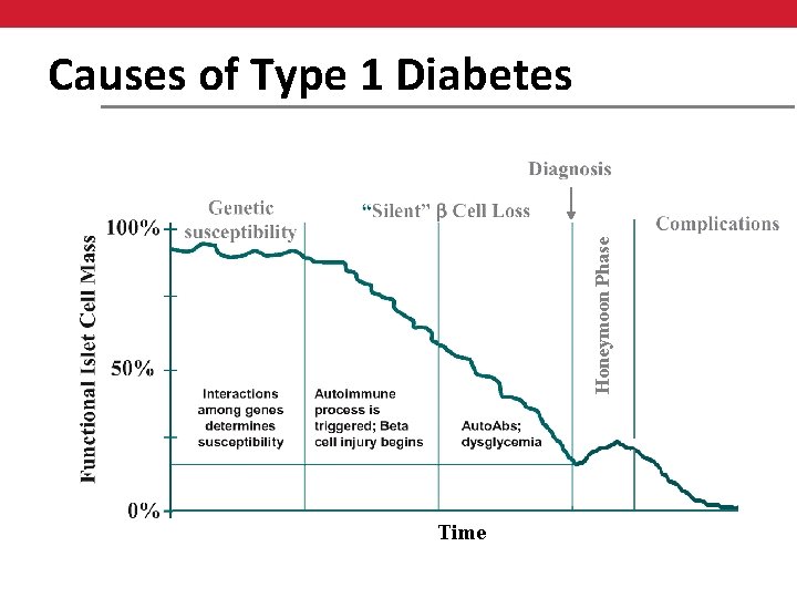 Honeymoon Phase Causes of Type 1 Diabetes Time 
