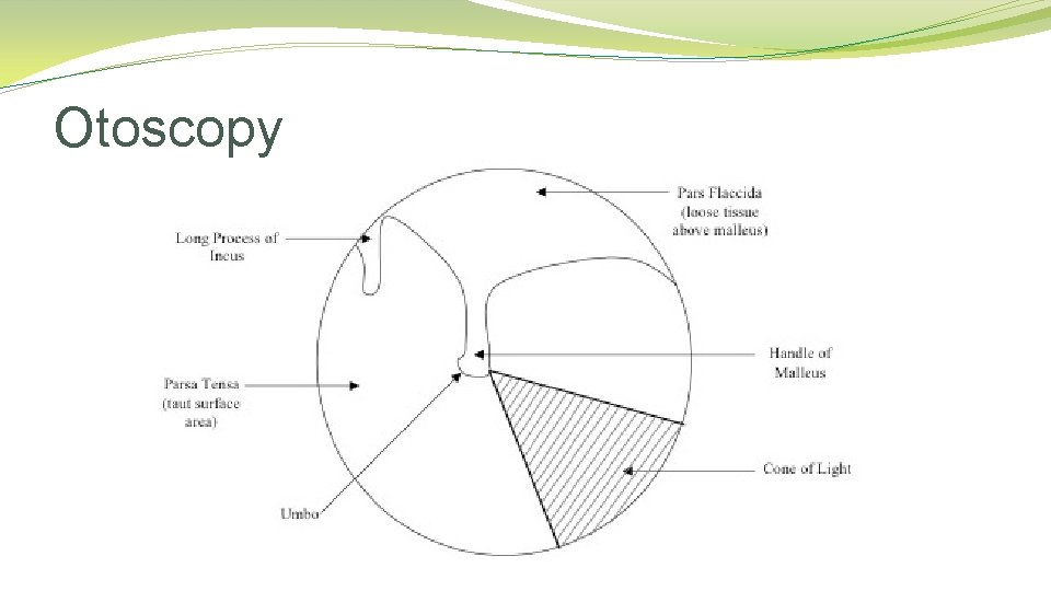 Otoscopy Otoscopy