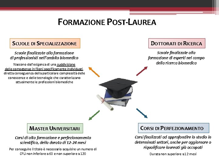 FORMAZIONE POST-LAUREA SCUOLE DI SPECIALIZZAZIONE DOTTORATI DI RICERCA Scuole finalizzate alla formazione di professionisti