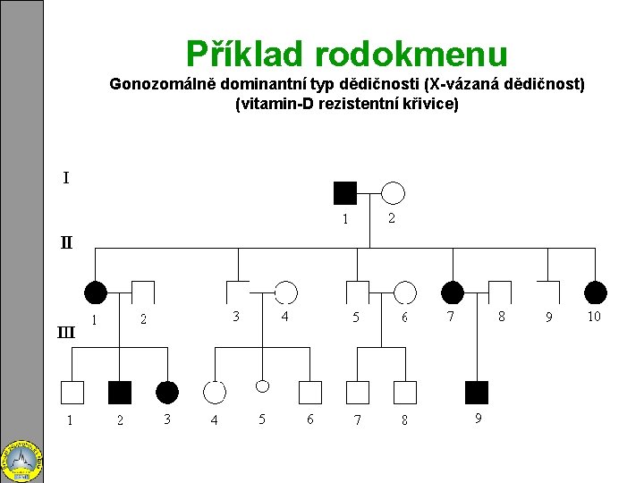 Příklad rodokmenu Gonozomálně dominantní typ dědičnosti (X-vázaná dědičnost) (vitamin-D rezistentní křivice) 