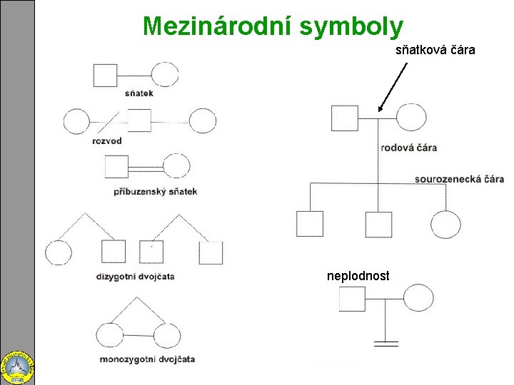 Mezinárodní symboly sňatková čára neplodnost 