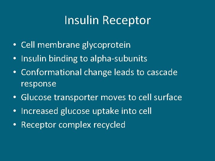 Insulin Receptor • Cell membrane glycoprotein • Insulin binding to alpha-subunits • Conformational change