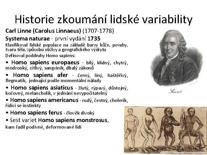 Historie zkoumání lidské variability Carl Linne (Carolus Linnaeus) (1707 -1778) Systema naturae - první