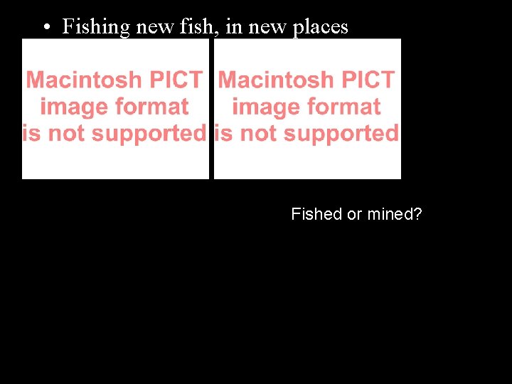  • Fishing new fish, in new places Fished or mined? 