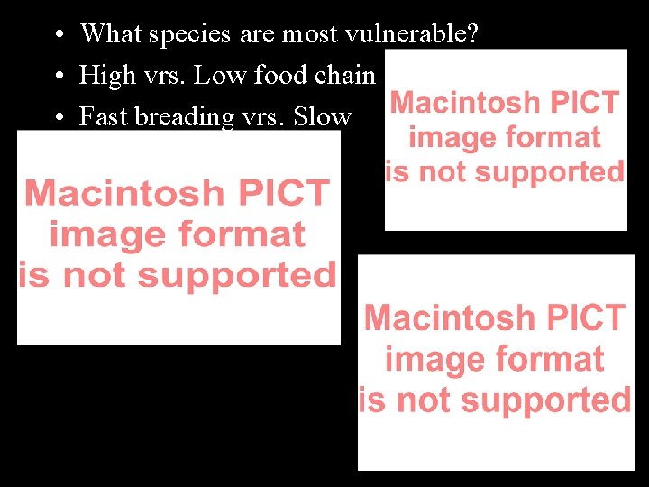  • What species are most vulnerable? • High vrs. Low food chain •