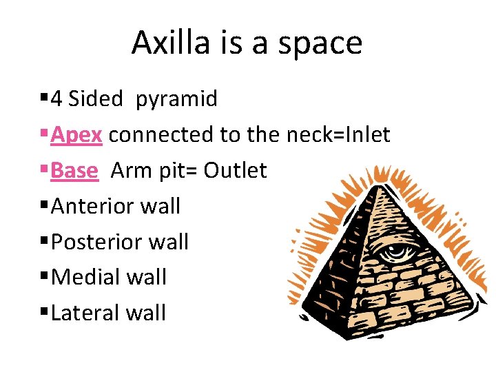 Axilla is a space § 4 Sided pyramid §Apex connected to the neck=Inlet §Base