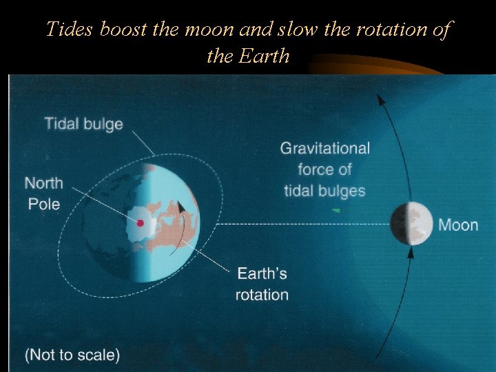 Tides boost the moon and slow the rotation of the Earth 