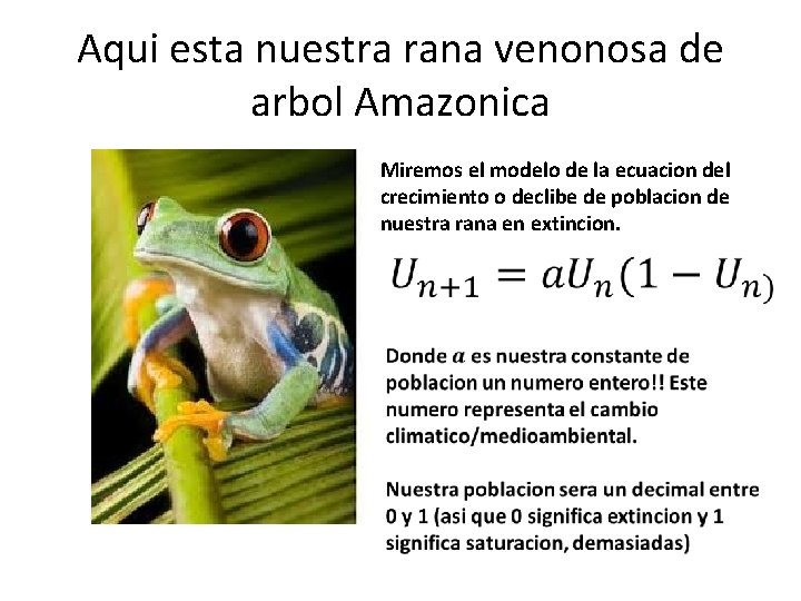Aqui esta nuestra rana venonosa de arbol Amazonica Miremos el modelo de la ecuacion