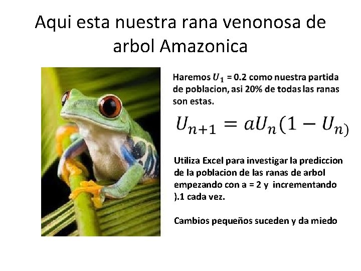 Aqui esta nuestra rana venonosa de arbol Amazonica Utiliza Excel para investigar la prediccion