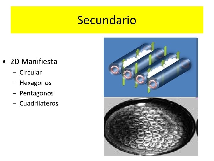 Secundario • 2 D Manifiesta – – Circular Hexagonos Pentagonos Cuadrilateros 