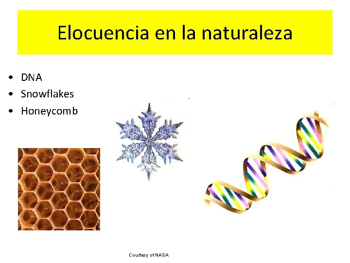 Elocuencia en la naturaleza • DNA • Snowflakes • Honeycomb Courtesy of NASA 