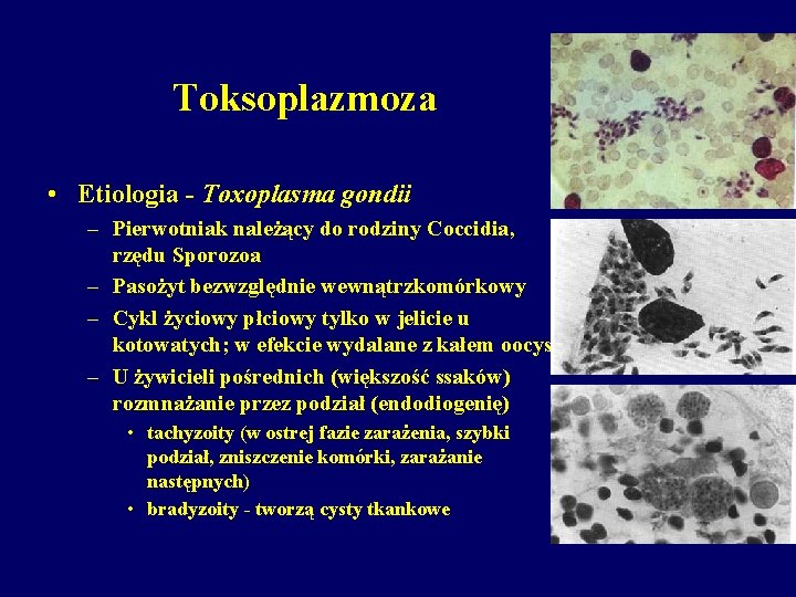 Toksoplazmoza • Etiologia - Toxoplasma gondii – Pierwotniak należący do rodziny Coccidia, rzędu Sporozoa