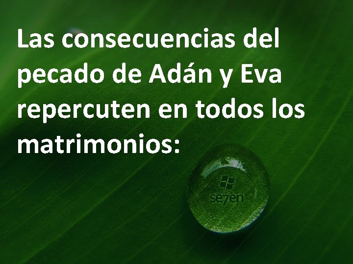 Las consecuencias del pecado de Adán y Eva repercuten en todos los matrimonios: 