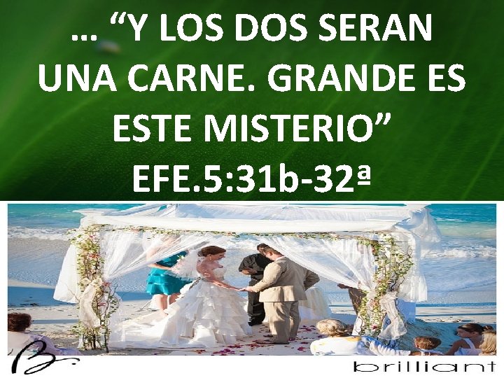 … “Y LOS DOS SERAN UNA CARNE. GRANDE ES ESTE MISTERIO” EFE. 5: 31