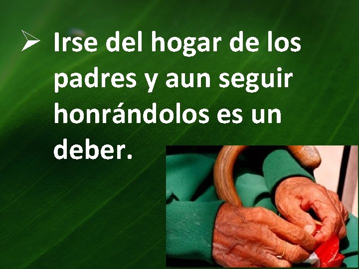 Ø Irse del hogar de los padres y aun seguir honrándolos es un deber.