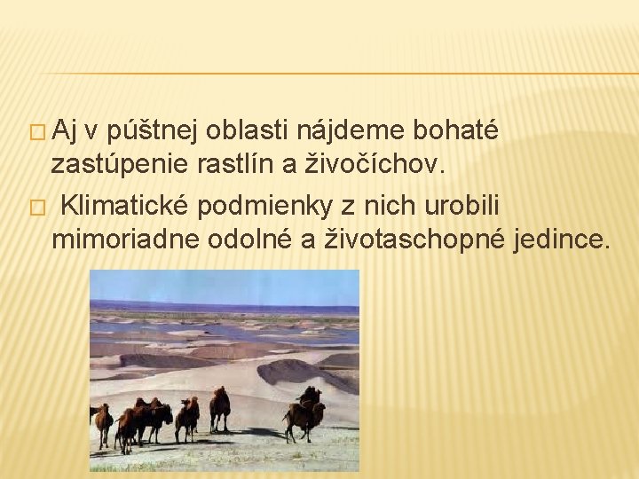 � Aj v púštnej oblasti nájdeme bohaté zastúpenie rastlín a živočíchov. � Klimatické podmienky