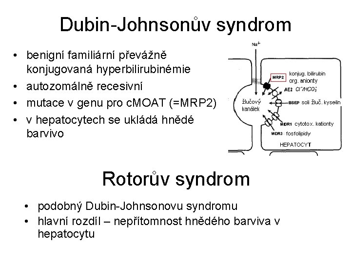 Dubin-Johnsonův syndrom • benigní familiární převážně konjugovaná hyperbilirubinémie • autozomálně recesivní • mutace v