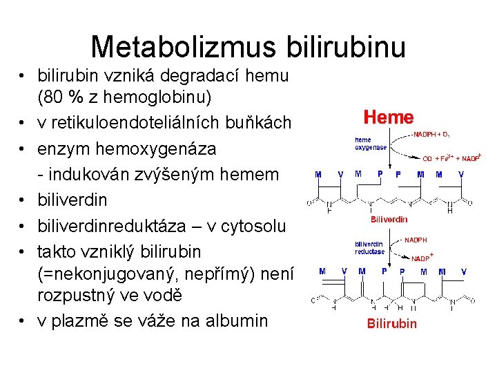 Metabolizmus bilirubinu • bilirubin vzniká degradací hemu (80 % z hemoglobinu) • v retikuloendoteliálních
