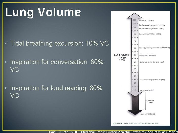 Lung Volume • Tidal breathing excursion: 10% VC • Inspiration for conversation: 60% VC
