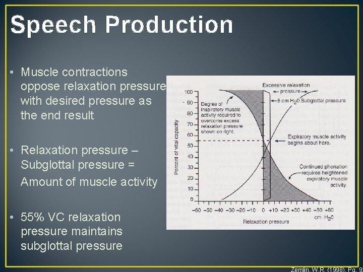 Speech Production • Muscle contractions oppose relaxation pressure with desired pressure as the end