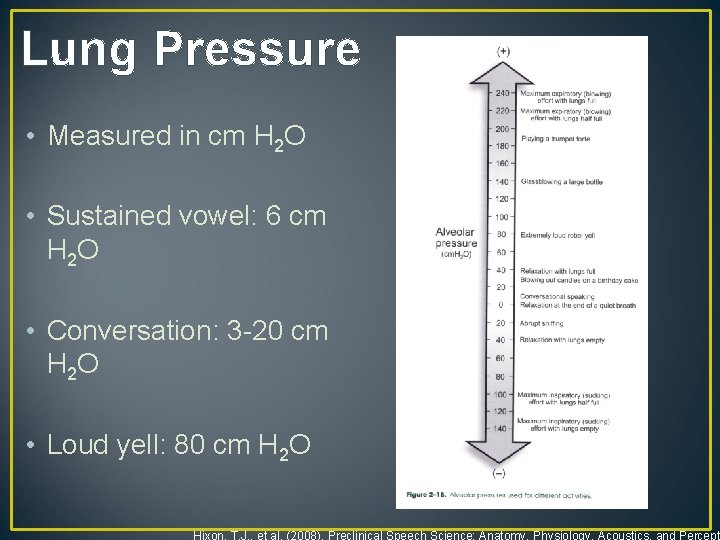 Lung Pressure • Measured in cm H 2 O • Sustained vowel: 6 cm