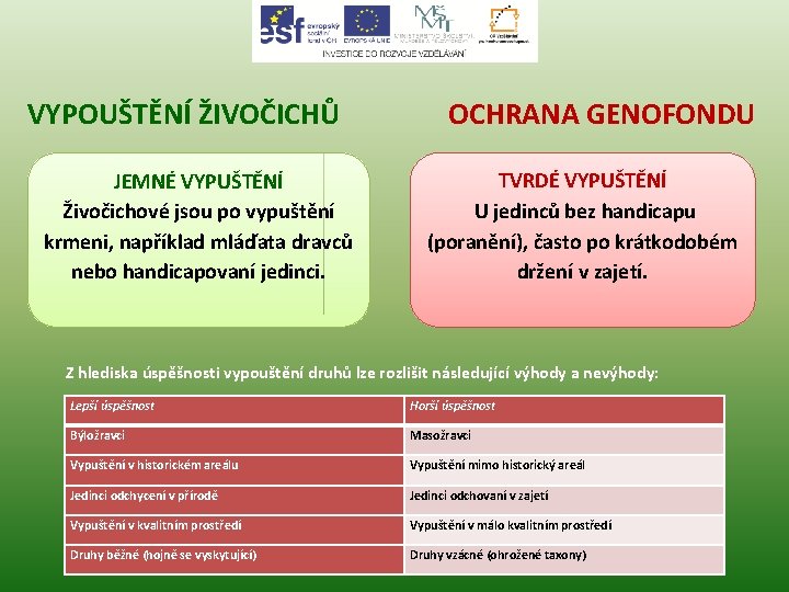 VYPOUŠTĚNÍ ŽIVOČICHŮ JEMNÉ VYPUŠTĚNÍ Živočichové jsou po vypuštění krmeni, například mláďata dravců nebo handicapovaní
