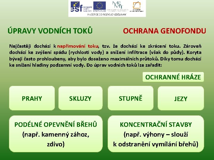 ÚPRAVY VODNÍCH TOKŮ OCHRANA GENOFONDU Nejčastěji dochází k napřimování toku, tzv. že dochází ke