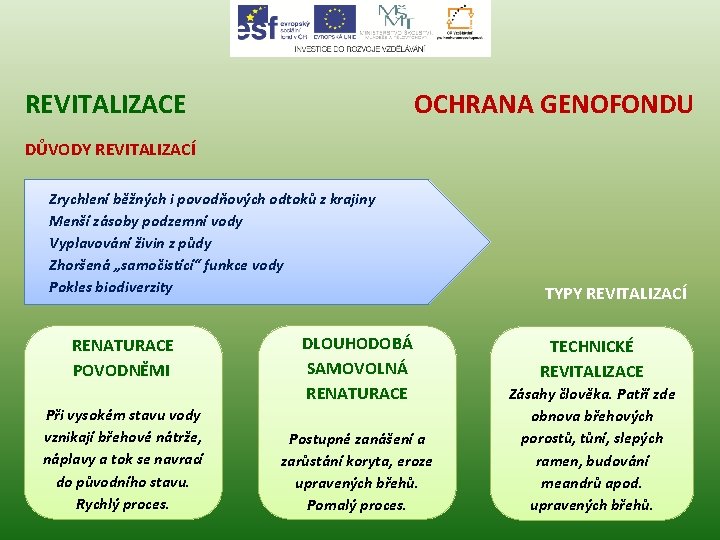 REVITALIZACE OCHRANA GENOFONDU DŮVODY REVITALIZACÍ Zrychlení běžných i povodňových odtoků z krajiny Menší zásoby