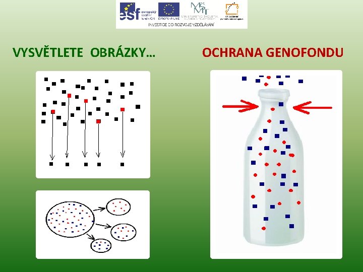 VYSVĚTLETE OBRÁZKY… OCHRANA GENOFONDU 