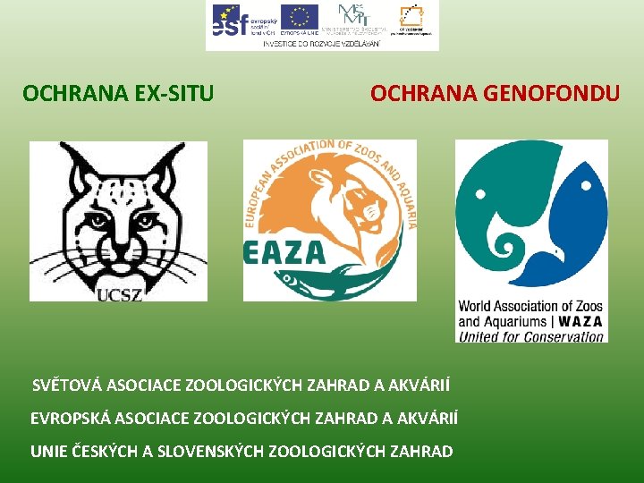 OCHRANA EX-SITU OCHRANA GENOFONDU SVĚTOVÁ ASOCIACE ZOOLOGICKÝCH ZAHRAD A AKVÁRIÍ EVROPSKÁ ASOCIACE ZOOLOGICKÝCH ZAHRAD