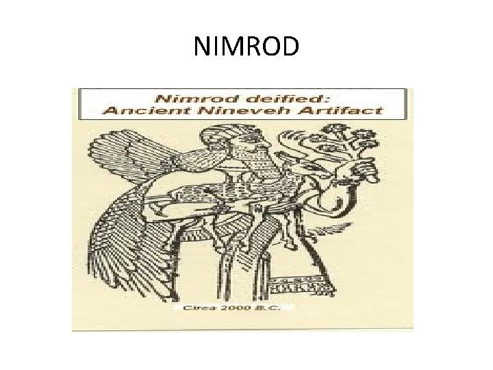 NIMROD 