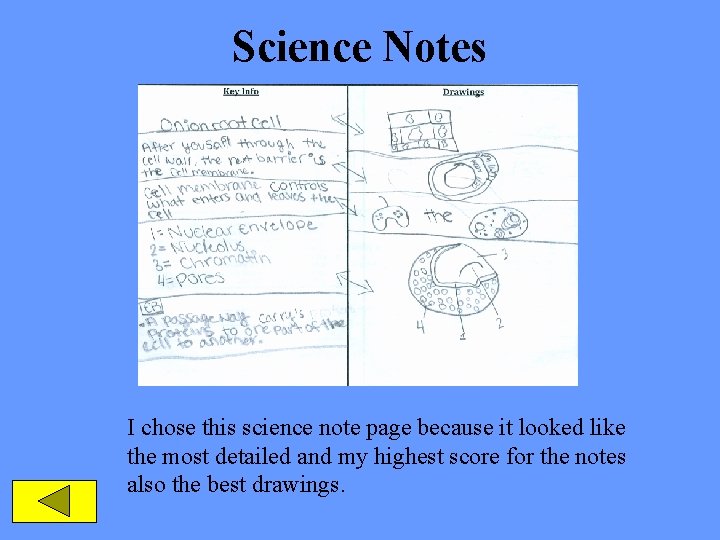 Science Notes I chose this science note page because it looked like the most