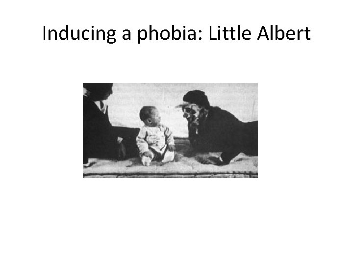 Inducing a phobia: Little Albert 