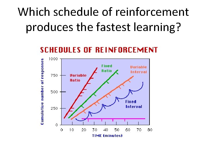 Which schedule of reinforcement produces the fastest learning? 