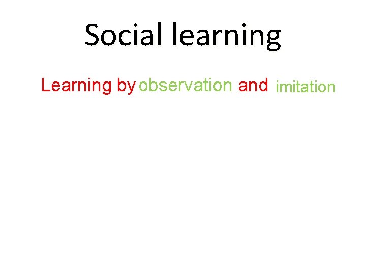 Social learning Learning by observation and imitation 