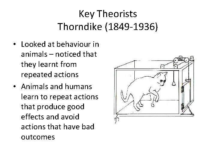 Key Theorists Thorndike (1849 -1936) • Looked at behaviour in animals – noticed that