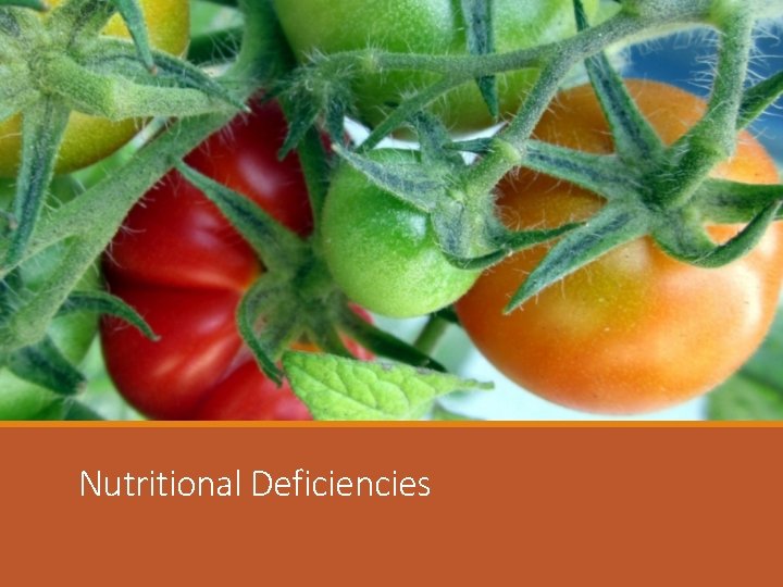 Nutritional Deficiencies 