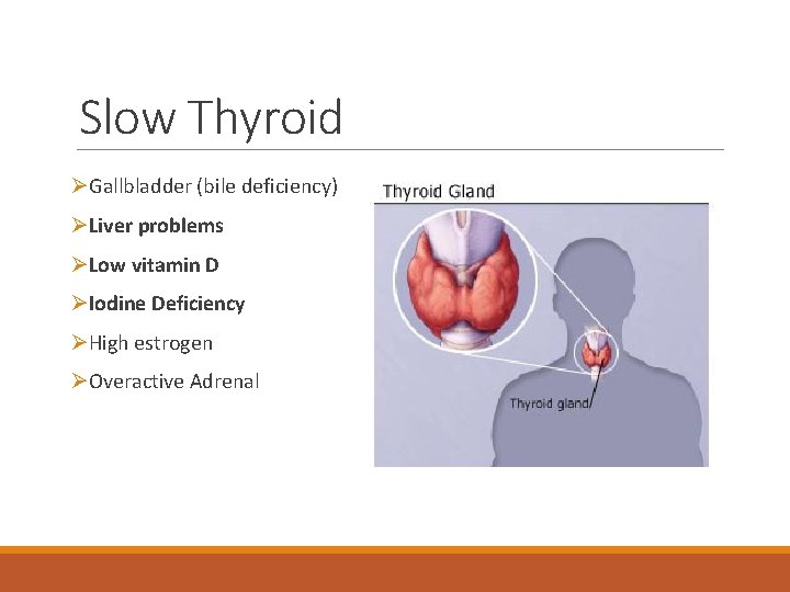 Slow Thyroid ØGallbladder (bile deficiency) ØLiver problems ØLow vitamin D ØIodine Deficiency ØHigh estrogen