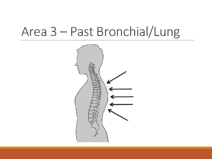 Area 3 – Past Bronchial/Lung 