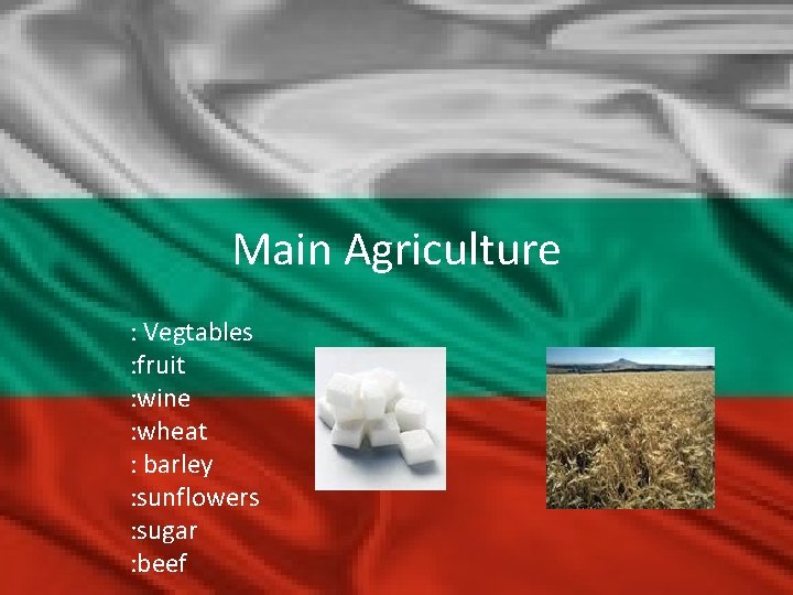 Main Agriculture : Vegtables : fruit : wine : wheat : barley : sunflowers