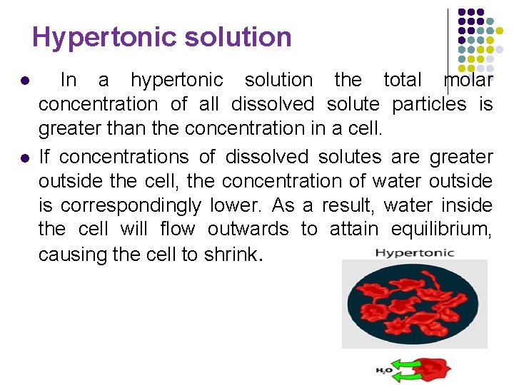 Hypertonic solution l l In a hypertonic solution the total molar concentration of all