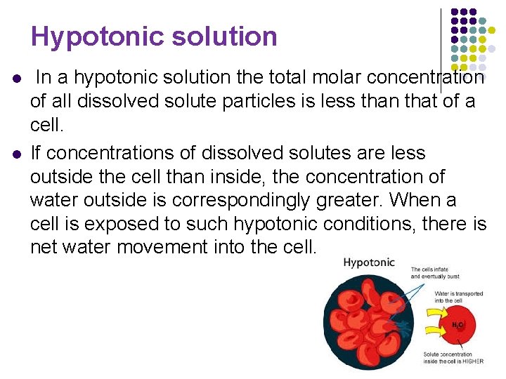 Hypotonic solution l l In a hypotonic solution the total molar concentration of all