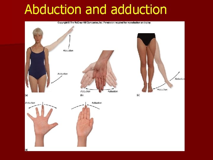 Abduction and adduction Abduction and adduction