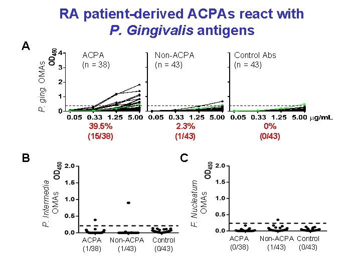 RA patient-derived ACPAs react with P. Gingivalis antigens P. ging. OMAs A ACPA (n