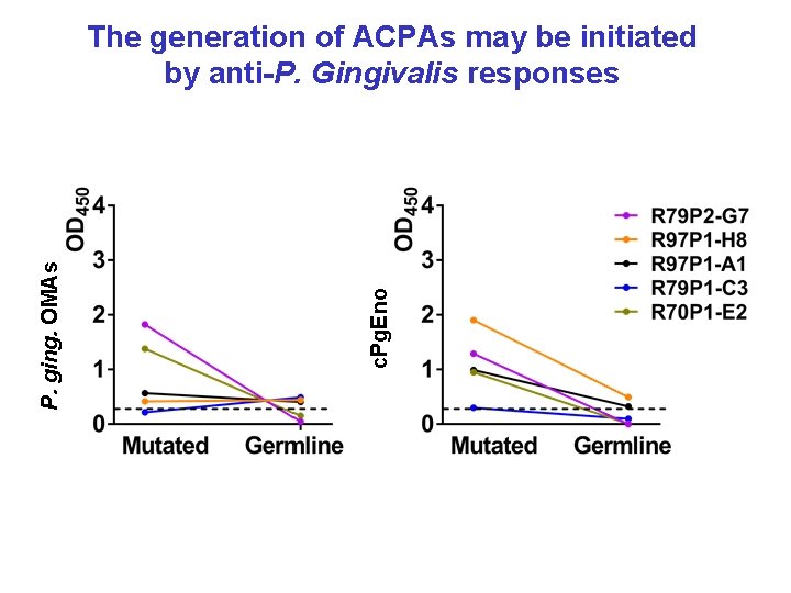 c. Pg. Eno P. ging. OMAs The generation of ACPAs may be initiated by