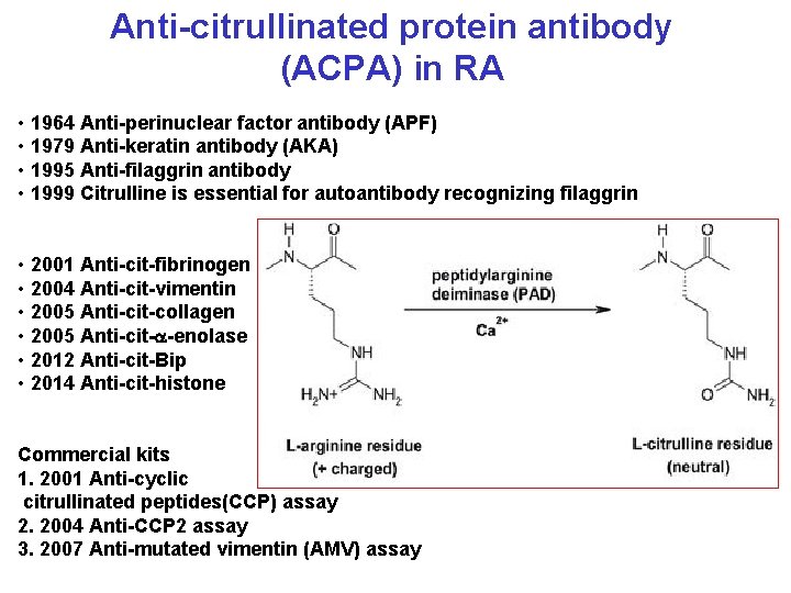 Anti-citrullinated protein antibody (ACPA) in RA • 1964 Anti-perinuclear factor antibody (APF) • 1979