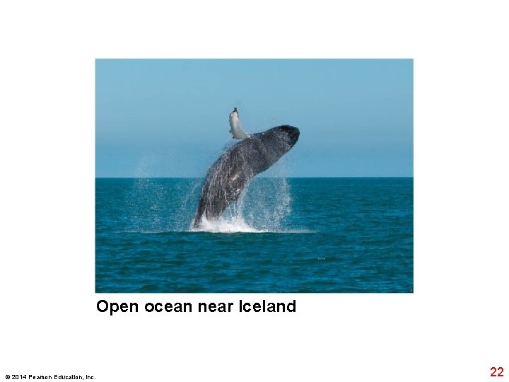 Open ocean near Iceland © 2014 Pearson Education, Inc. 22 